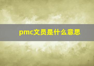 pmc文员是什么意思