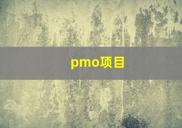 pmo项目