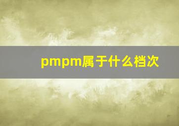 pmpm属于什么档次(