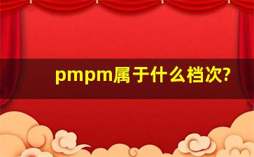 pmpm属于什么档次?