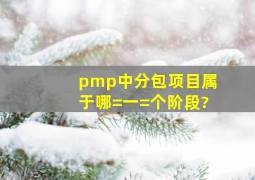 pmp中分包项目属于哪=一=个阶段?