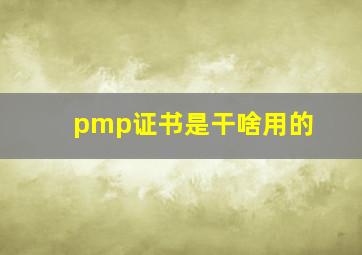 pmp证书是干啥用的