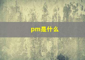 pm是什么