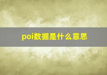 poi数据是什么意思