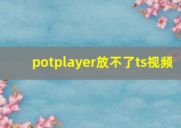 potplayer放不了ts视频