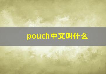 pouch中文叫什么