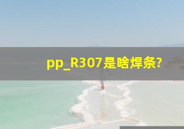 pp_R307是啥焊条?