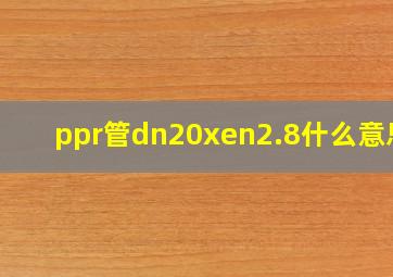 ppr管dn20xen2.8什么意思?