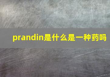 prandin是什么(是一种药吗(