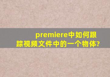 premiere中如何跟踪视频文件中的一个物体?