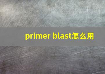 primer blast怎么用