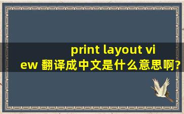 print layout view 翻译成中文是什么意思啊?