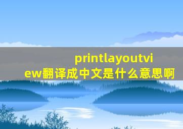 printlayoutview翻译成中文是什么意思啊(