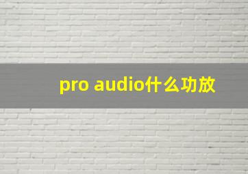 pro audio什么功放
