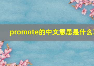 promote的中文意思是什么?