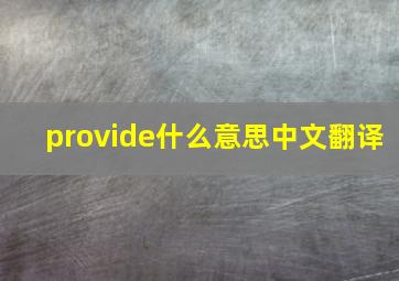 provide什么意思中文翻译
