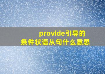 provide引导的条件状语从句什么意思