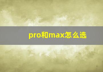 pro和max怎么选