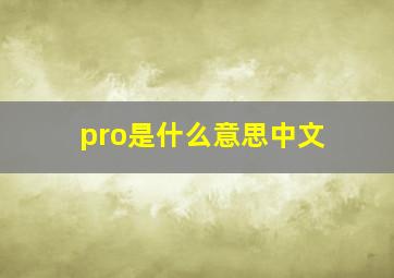 pro是什么意思中文