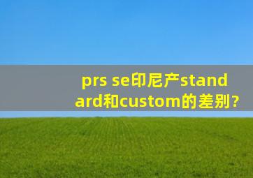 prs se印尼产standard和custom的差别?