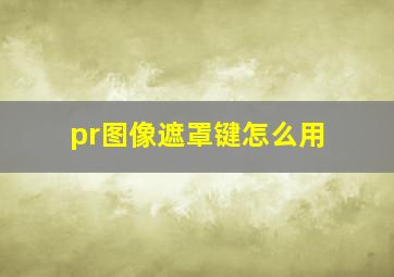 pr图像遮罩键怎么用