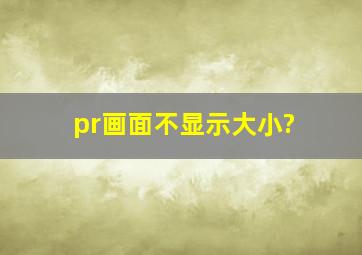 pr画面不显示大小?