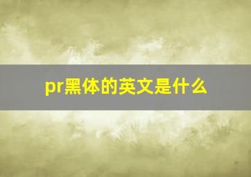 pr黑体的英文是什么