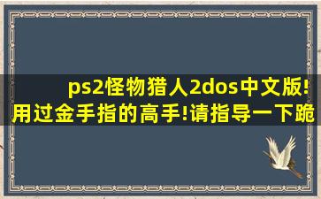 ps2怪物猎人2dos中文版!用过金手指的高手!请指导一下跪求大家啦...