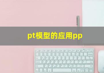 pt模型的应用pp