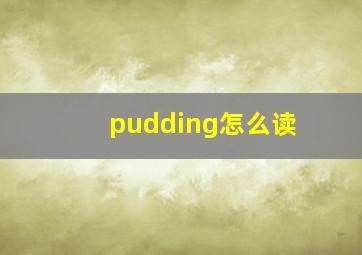 pudding怎么读