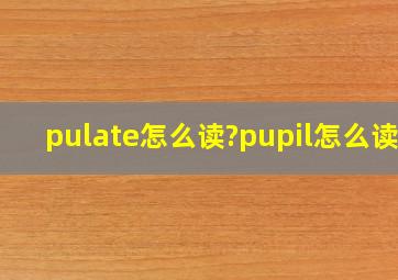 pulate怎么读?pupil怎么读?