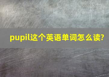 pupil这个英语单词怎么读?