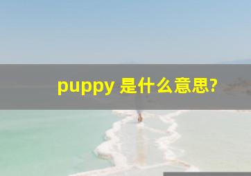 puppy 是什么意思?