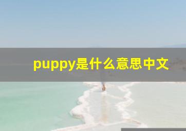 puppy是什么意思中文