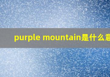 purple mountain是什么意思