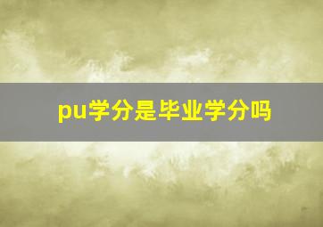 pu学分是毕业学分吗(