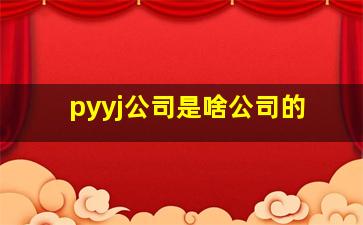 pyyj公司是啥公司的