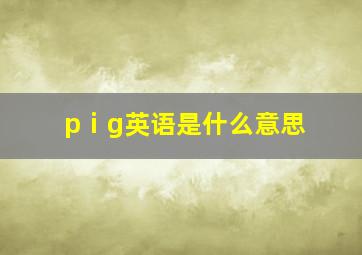 pⅰg英语是什么意思