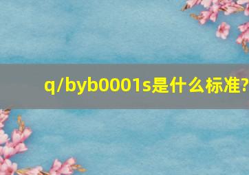 q/byb0001s是什么标准?