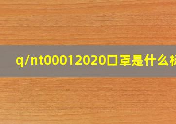 q/nt00012020口罩是什么标准(