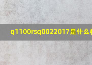 q1100rsq0022017是什么标准?