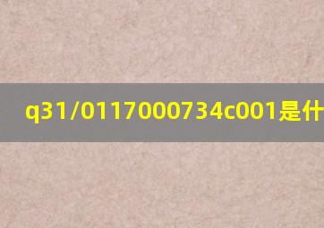 q31/0117000734c001是什么标准?