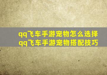 qq飞车手游宠物怎么选择 qq飞车手游宠物搭配技巧