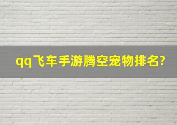 qq飞车手游腾空宠物排名?