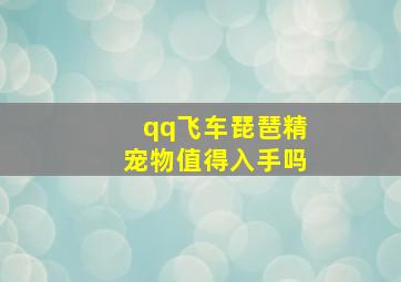 qq飞车琵琶精宠物值得入手吗