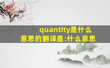 quantity是什么意思的翻译是:什么意思