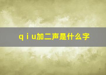 qⅰu加二声是什么字