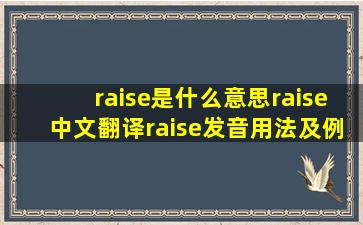 raise是什么意思,raise中文翻译,raise发音、用法及例句