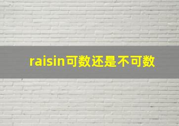 raisin可数还是不可数