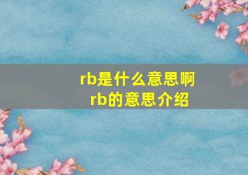 rb是什么意思啊 rb的意思介绍